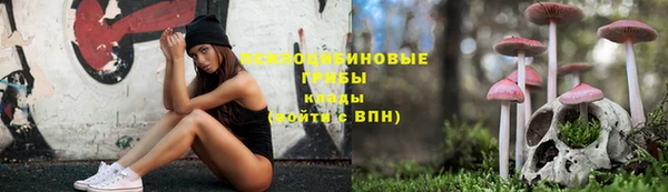 таблы Алексеевка