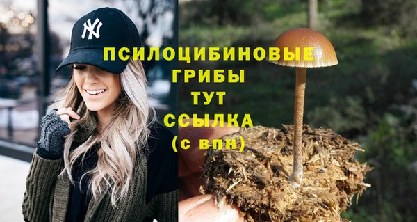 таблы Алексеевка