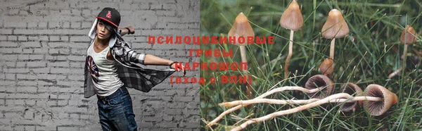 кокаин колумбия Алексин
