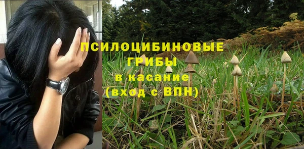 амф Беломорск