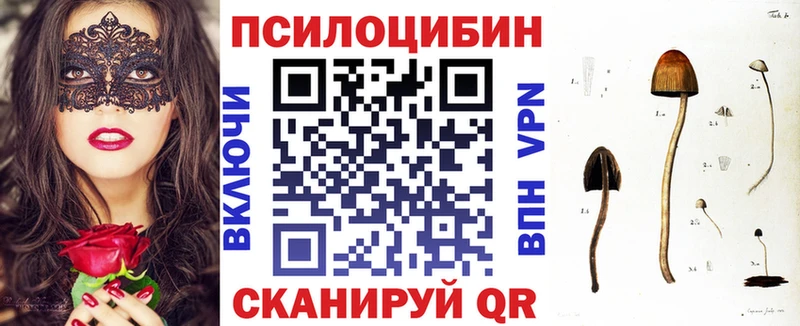 Купить  Ермолино  Псилоцибиновые грибы MAGIC MUSHROOMS 